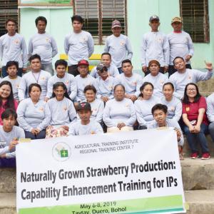 Eskaya discover strawberry growing the natural way | ATI in Central Visayas