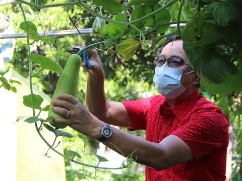 Agriculture Secretary William Dar at the “ATIng Gulayan ng DA” demonstration site in Quezon City.