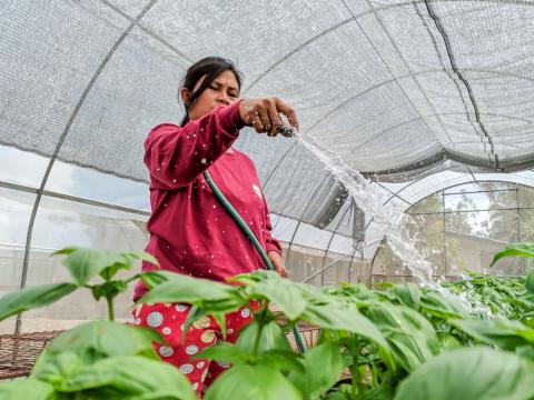 The government supports organic farming in different farms in the Philippines.